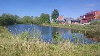Видеоминутка.Пруды в Рыбаках.Кто знает,на данный момент,здесь вообще рыба есть?