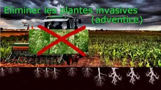 Intrants-610