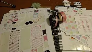 Plan with me in Heidi Swapp Feb 29-March 6