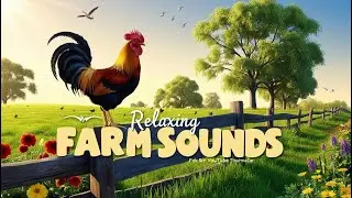 Relaxing Farm Sounds 24/7 | Roosters, Birds & Nature Ambience Live Stream
