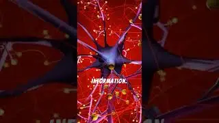 Mind-Blowing Brain Facts You Probably Didn&rsquo;t Know!