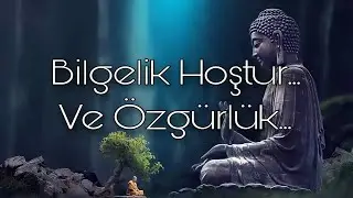 BUDDHA'NIN 53 ÖĞRETİSİ (26. BÖLÜM): Bilgelik Hoştur… Ve Özgürlük!
