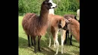 The miracle of birth