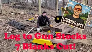 Milling 7 Gun Stock Blanks from My Last Walnut Log