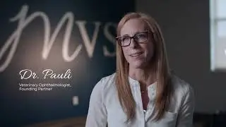 2020 AAHA-Accredited Practice of the Year finalist: Madison Veterinary Specialists