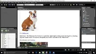 Topic 7 - Adding a Menu - Part 2