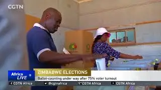 Zimbabwe Decides: Ballot-counting under way after 75% voter turnout