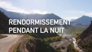 Se rendormir pendant la nuit ⟡ Ginkgo