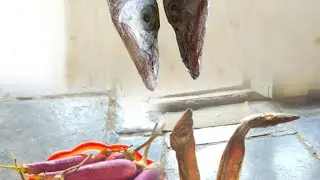 Vamkaya vupu chepa #kari #viralvideos #youtube #trending #vlog #cooking
