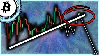Bitcoin will have 1 more liquidity hunt before meltdown
