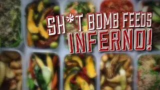 Shit bomb feeds inferno performance