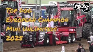 Top Dog European Champion Mini Unlimiteds 2025