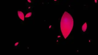 Rose Background Video | Free to Use | Background Animation | Background video | No copyright | CC