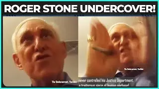 EXPOSED: Roger Stone Says THIS Former Trump Official Should Go To Prison