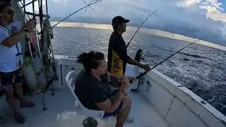My wife catches a Needlefish off the coast of Puerto Morelas Mexico