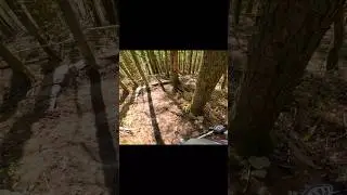 One of the best steep trails I have ridden 💯 #steep #mtb #mountainbike #downhill #bike #enduro