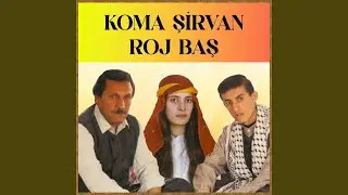 Roj Baş
