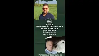 Live 2 - Termina&ccedil;&atilde;o intensiva a pasto (TIP) com o Professor Renato Dib