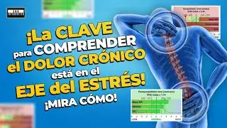 ¿Paciente con DOLOR crónico? MIDE el SISTEMA NERVIOSO y cambia tu enfoque clínico
