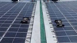 Self-charging solar clean robot,100% autonomos,no need remote control#solarcleaning#solarclean