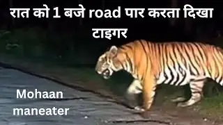 1 बजे दिखा टाइगर // 12 baje अजगर 25ft लंबा// #jimcorbett #akkigurjar00 #vivekawasthi #wildlife#vlogs