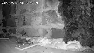 Removal of chimney and now a problem with do and dab walls. 
