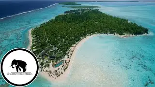 The Brando - Tahiti Private Island | DreamExoticRentals