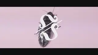 Pari Eskandari - Polyhorns co-produced by robot koch (Official Video)