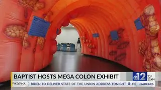 Baptist hosts Mega Colon exhibit