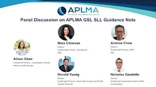 Panel Discussion on APLMA GSL SLL Guidance Note