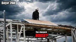 I Installed the Roof Panels of My House 6 Meters High! 25/100 &ndash; The Vineyard House