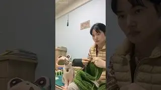 This cat learns signs language 🥰❤️ #cat #funny #pets #shortsfeed #viral #facts #funniestvideo