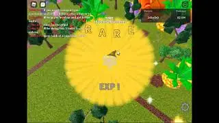 EXP GRIND
