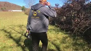 Overgrown fence line clean-up.