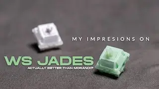 BETTER than Morandi Switch? | Impressions on WS Jade