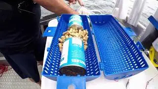 Setting up your Maxistrike Berley, using pellets, berley cage and canned berley.