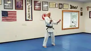 Seiryu Kata - Uechi-Ryu