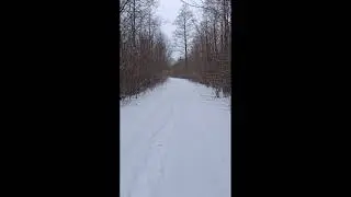Biebrzański Park Narodowy | Biebrza National Park