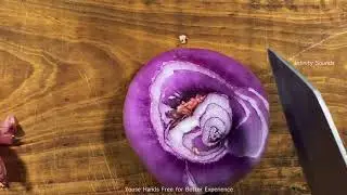 cooking sound effects | How To Cut Onions | Onion cutting sound | cooking sound effects no copyright