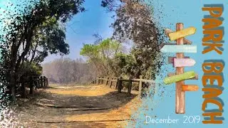 Park Beach Coffs Harbour | Family Friendly Beach in Coffs Harbour