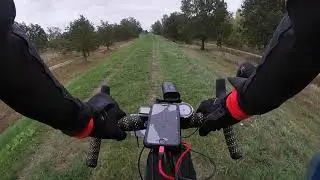 PyraTrail - 2020