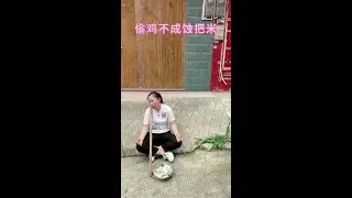 Stealing a chicken and losing the rice in the end #Funny Video #Laughing Love #Original Video #I wa