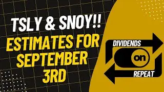 TSLY & SNOY Estimates!