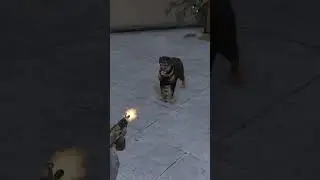 GTA 5 Myth Busting: Can You Kill Chop the Dog? Trick 36