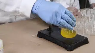 QUÍMICA ANALITICA - Análisis cualitativo de iones y titulación