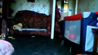 MOV00766