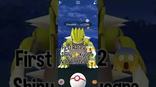 First Raid Shiny ✨Primal Groudon IV96😱 Pokemon go Fest global🔥 2023 #pokemongo #viral #shiny #game