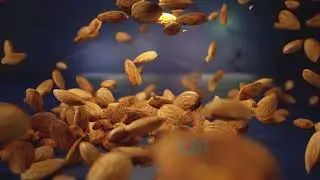 Animation for the Almond industry