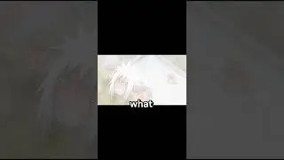Jiraya 