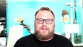 Das beste Futter?! Fishtopia All 4 Fish Softgranulat